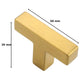 Meubelknop 50mm RVS Goud – Dallas